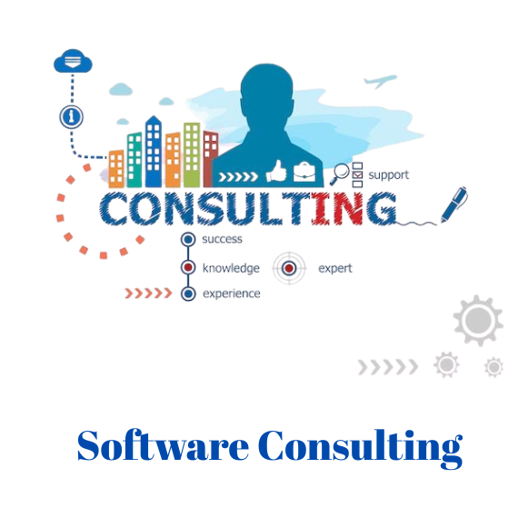 Software consulting
